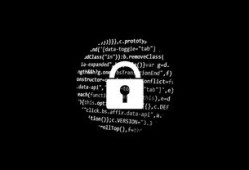 24小时黑客在线接单：揭秘数字世界的灰色服务与安全风险