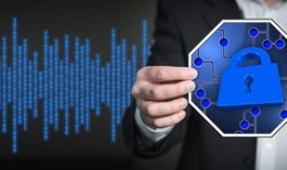 黑客教你查询个人信息：揭秘数字时代如何保护隐私安全，避免信息泄露风险