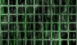 24小时黑客在线查询服务真的安全吗？揭秘隐私风险与可靠选择指南