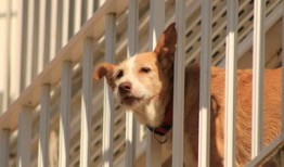 正规私人黑客联系方式：合法安全顾问的便捷联系指南，解决网络安全困扰