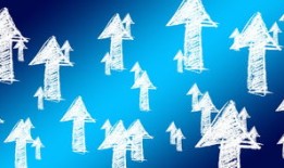 黑客哪里找？合法渠道与风险规避全指南，助你安全解决网络安全问题