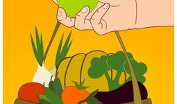 学编程的十大害处：警惕屏幕背后的健康隐患与成长陷阱，让孩子远离焦虑与社交障碍