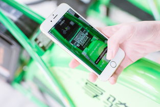 QQ黑客盗号交易平台揭秘与防范指南：保护账号安全，远离网络诈骗