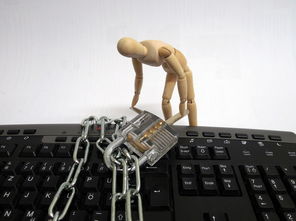 FreeBuf知识大陆：网络安全学习必备平台，助你从新手到专家轻松进阶