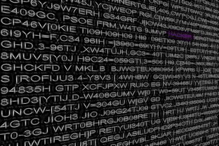 黑客免费接单网：揭露隐藏陷阱，教你安全找回账号与数据