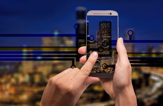 直接输入手机号就能定位免费？揭秘手机定位真相与安全使用方法