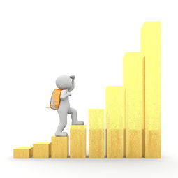 黑客追款大户揭秘：如何防范资金被盗并追回损失