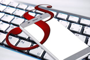 网络技术大神成长指南：从基础到实战的完整技能体系