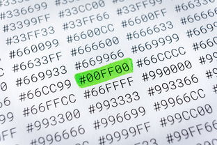 正规打字接单平台:在家打字赚钱,安全可靠,日结月入千元不是梦 正规打字接单平台:在家打字赚钱,安全可靠,日结月入千元不是梦