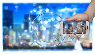 网络黑客的联系方式：揭秘暗网论坛与加密通讯背后的法律风险与安全陷阱